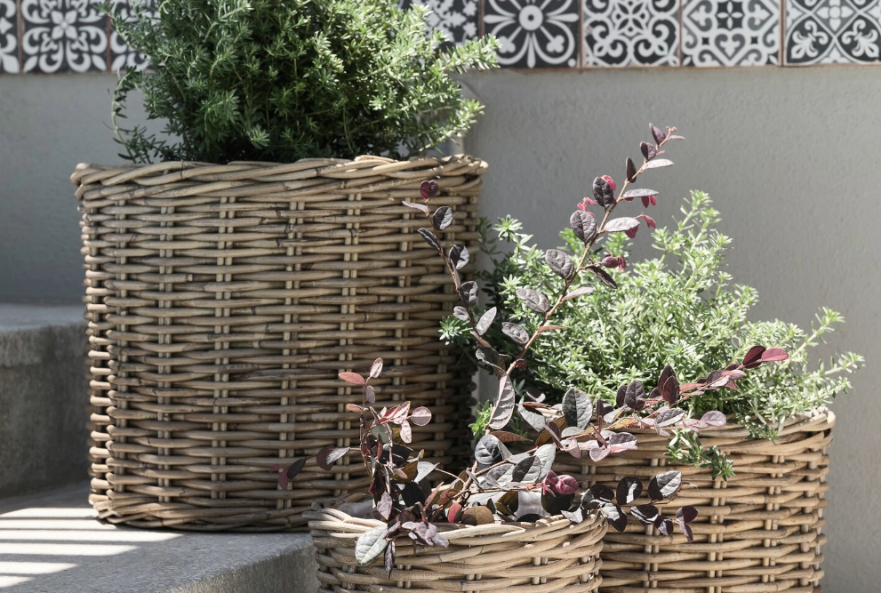Planters & plant pots