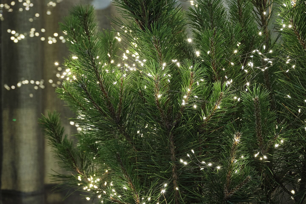 Christmas Lighting