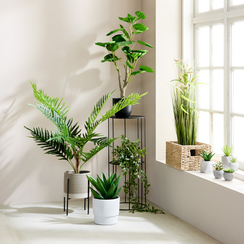 Save 20-50% on Artificial flowers, plants, plant pots & vases