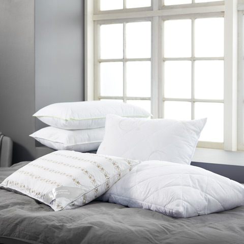 Save 20-50% on ALL Fibre filled & natural pillows