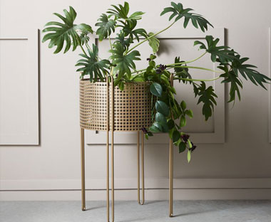 Gold planter box with hairpin legs
