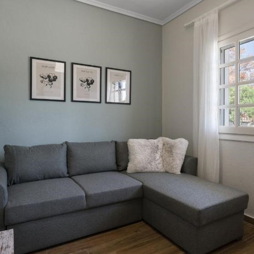 Furnished living room with sofa, pillows and decoration