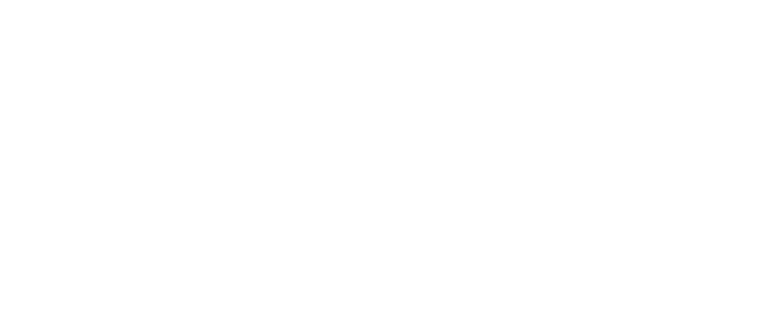 Black Friday 2025