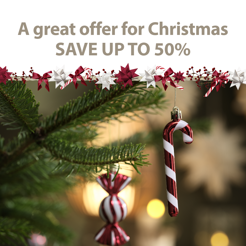 A great offer for Christmas | Save Up to 50%