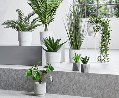Artificial Plants Wild Flowers Cacti And Palm Leaves Jysk