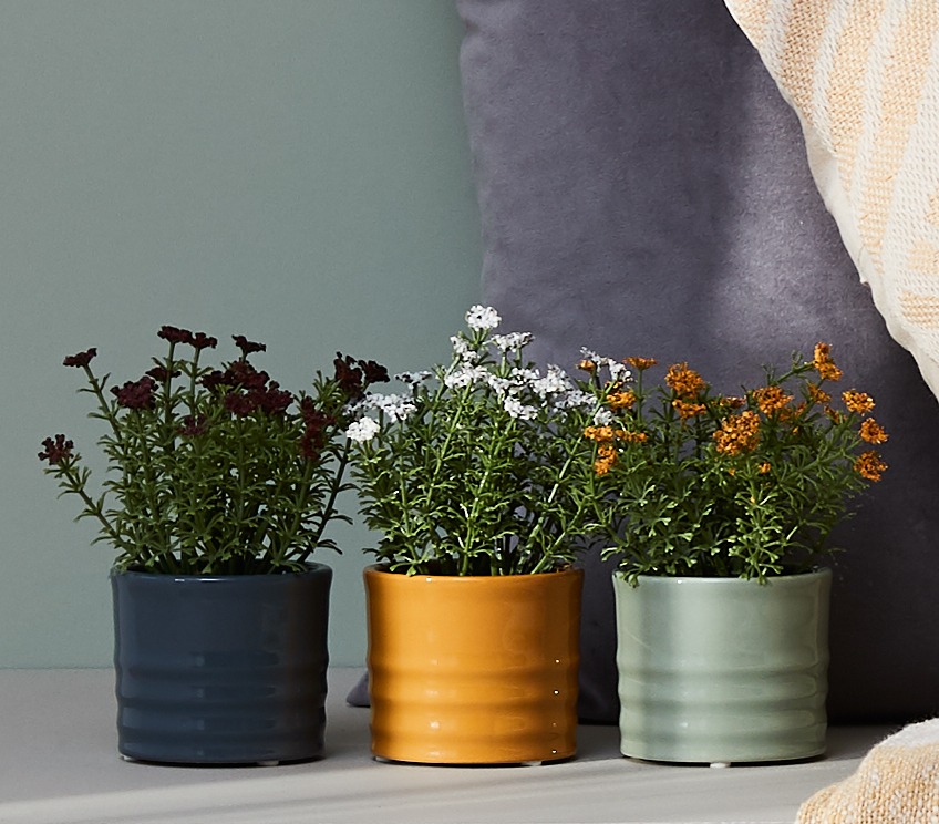 The Buyer's favourite décor JYSK