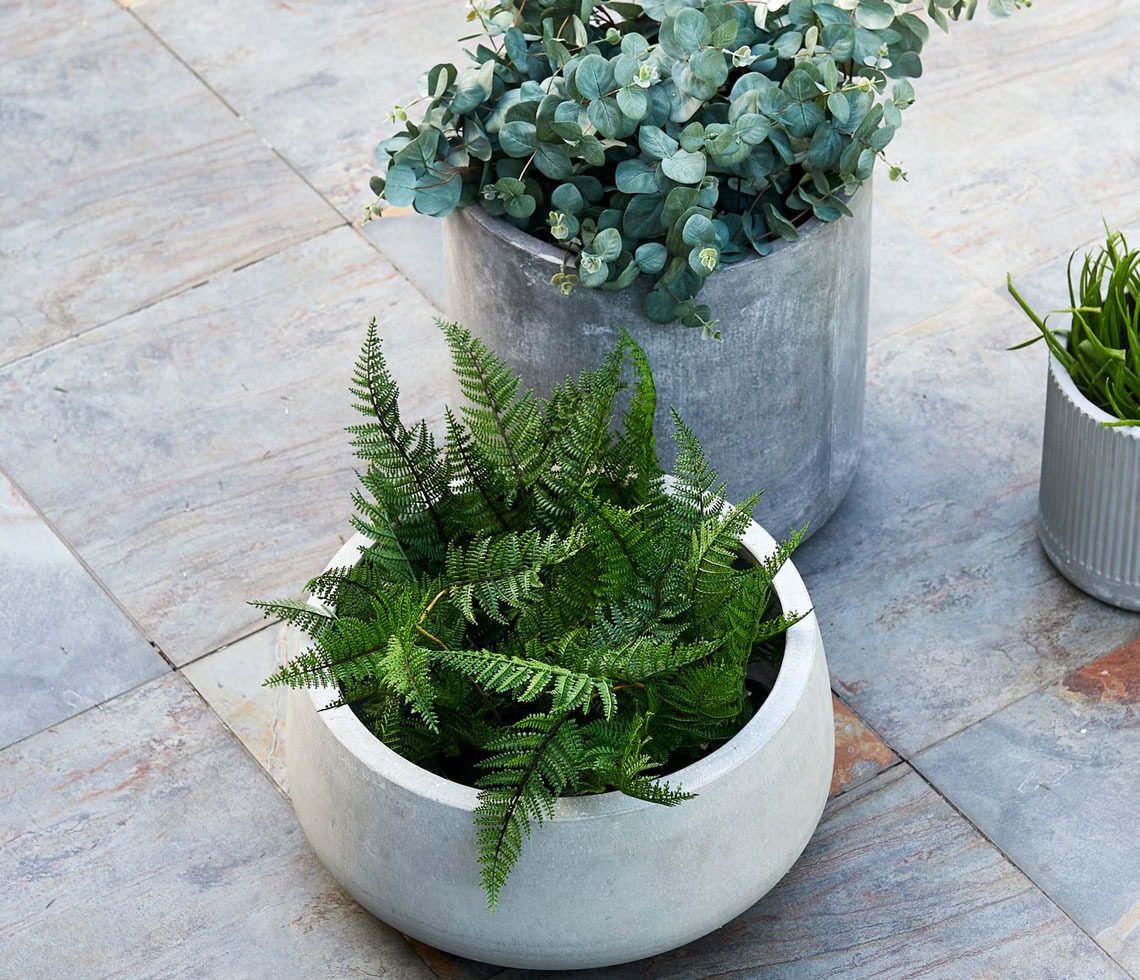 Large concrete planters low and tall planters