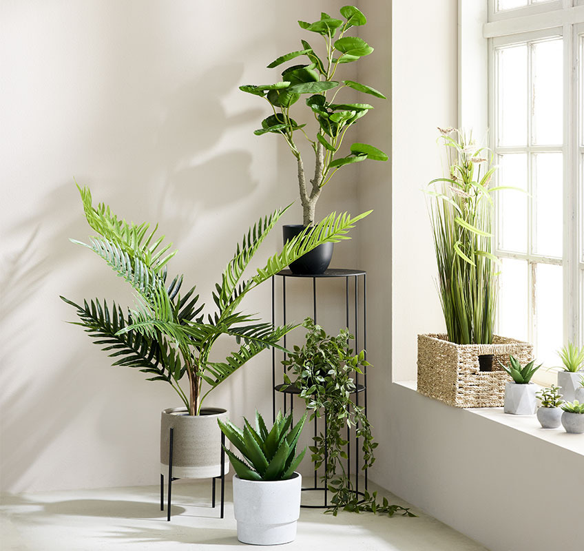 Green artificial plants in different shapes and sizes