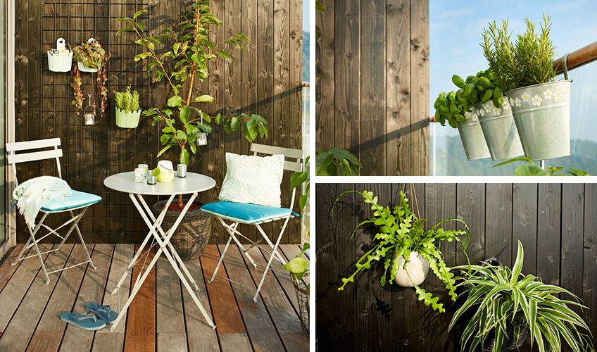Plants for your balcony from JYSK